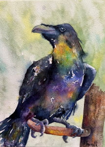 Linda Swindle 10 Swindle - Raven